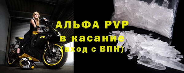 ГАЛЛЮЦИНОГЕННЫЕ ГРИБЫ Костерёво