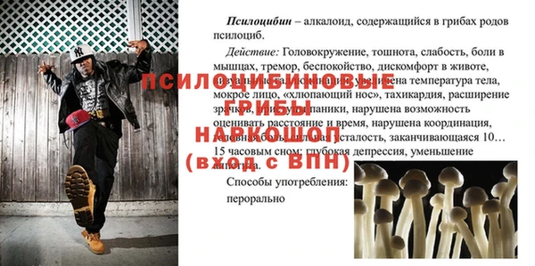 соль ск Алексеевка