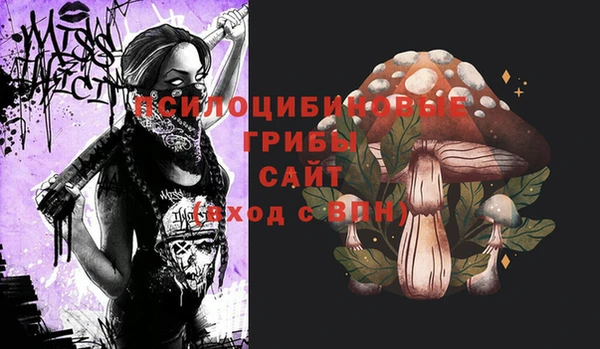 соль ск Алексеевка