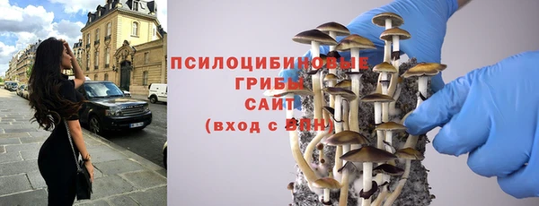 соль ск Алексеевка