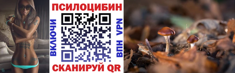 гидра рабочий сайт  Гдов  Псилоцибиновые грибы Magic Shrooms 